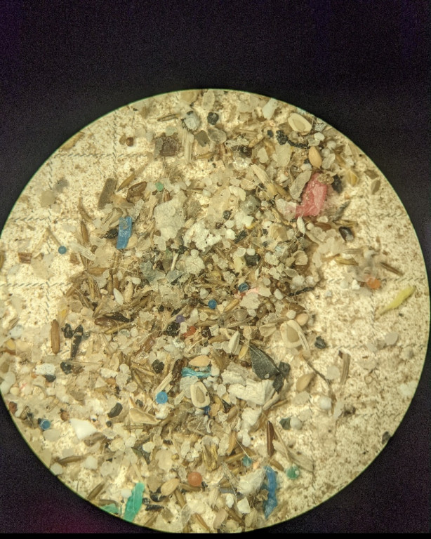 A microscopic image of microplastics. Shards of multicolored fragments are visible against a tan background.